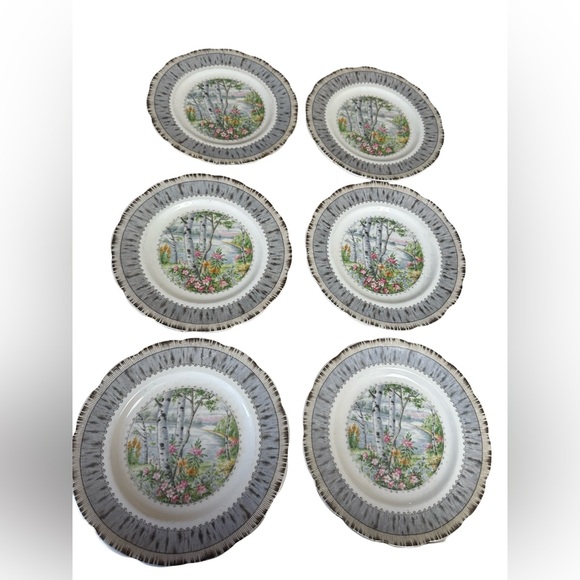 Royal Albert Silver Birch 7” Side Plates  Set of 6 – Vintage Crown China England - Picture 1 of 8